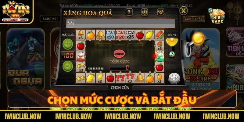 Chọn mức cược và bắt đầu