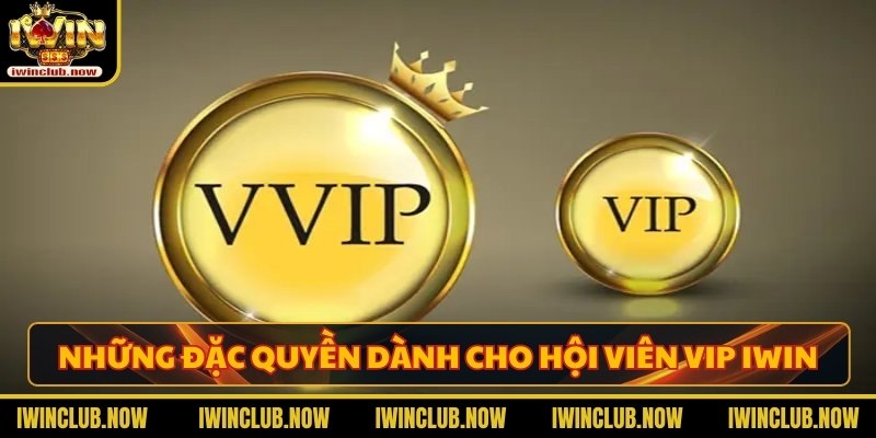 Những đặc quyền dành cho hội viên VIP tại cổng cược